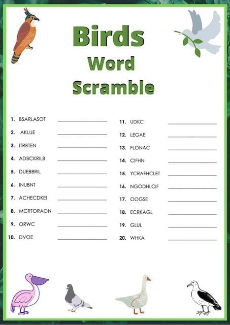 bird word scramble