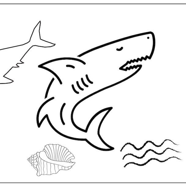 Shark Colouring pages