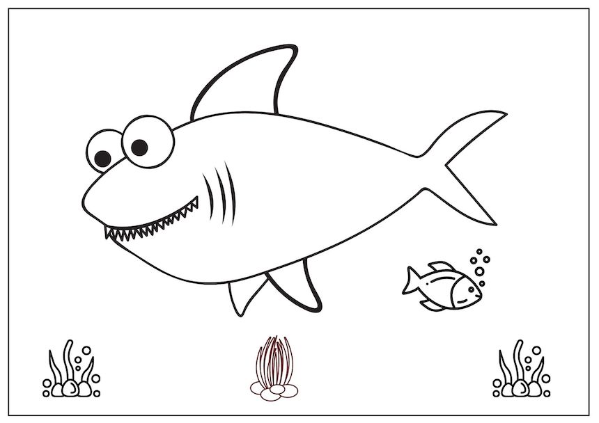Free Printable Shark Colouring Pages Show My Crafts
