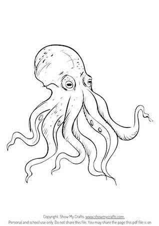 octopus colouring pages