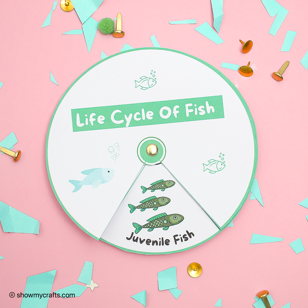 Life cycle of fish