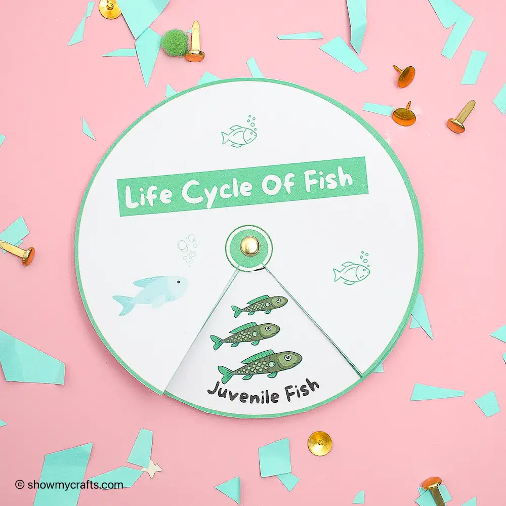 Fish Life Cycle Spinners Life Cycle Crafts For Kids