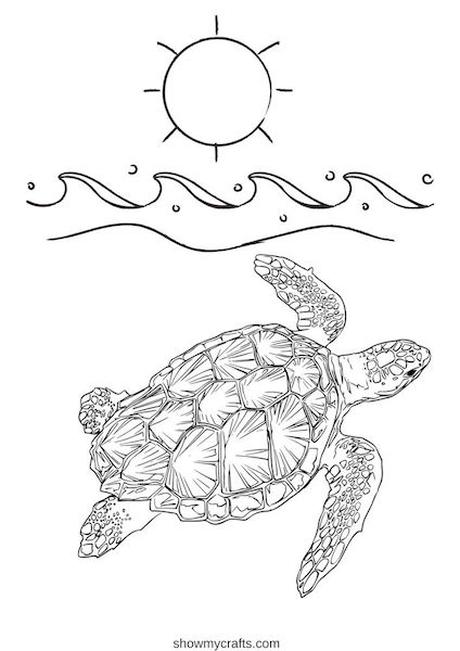 Turtle colouring pages