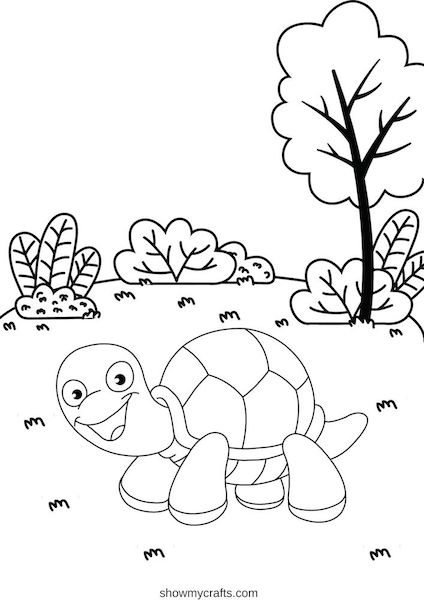 Tortoise colouring pages