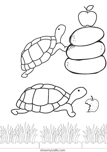Printable Tortoise colouring pages for kids