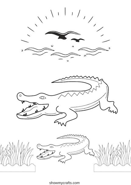 Alligator colouring pages for preschool