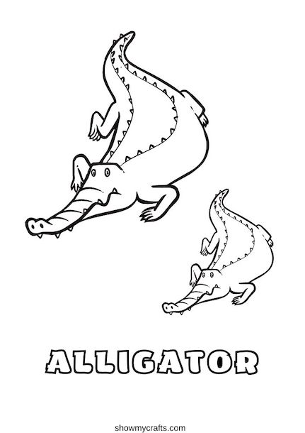 Alligator colouring pages