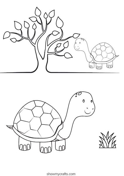 baby tortoise colouring pages