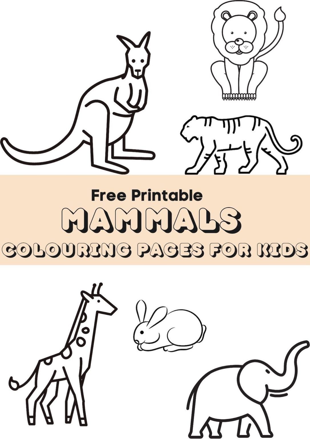 Mammals Colouring Pages - Show My Crafts