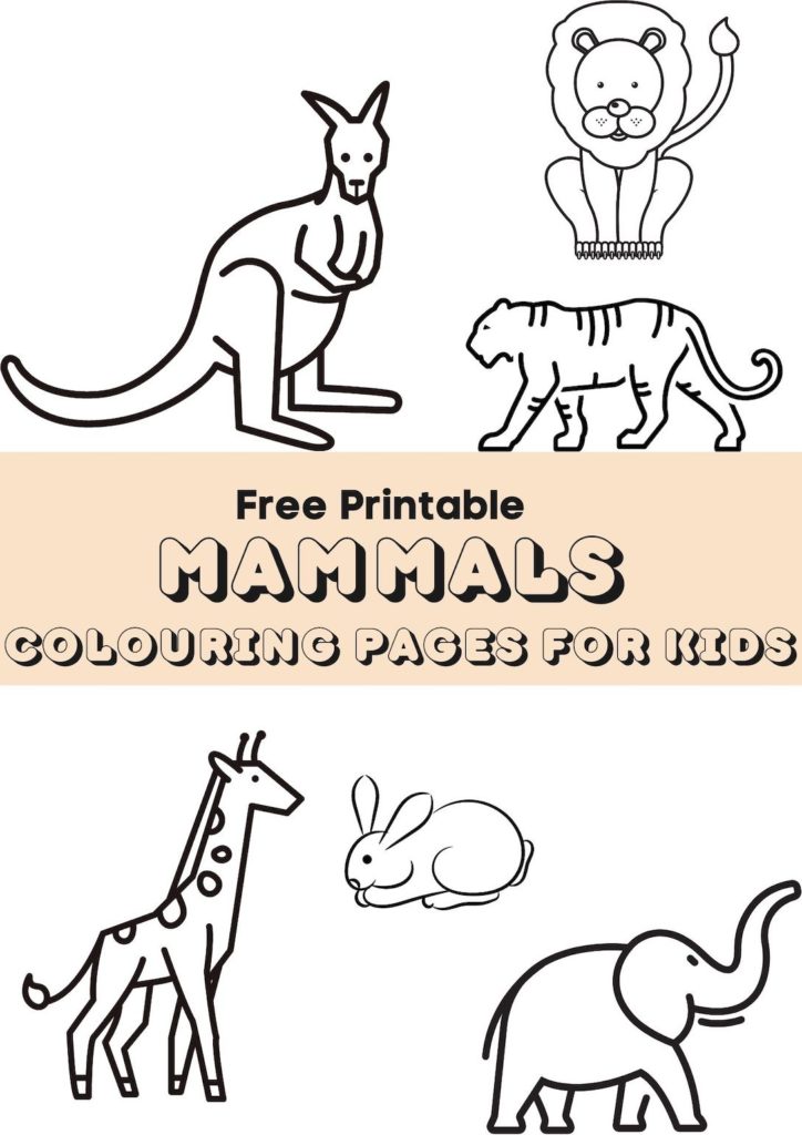 mammals colouring pages