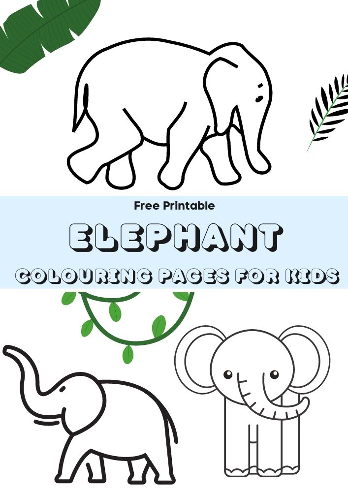 elephants colouring pages