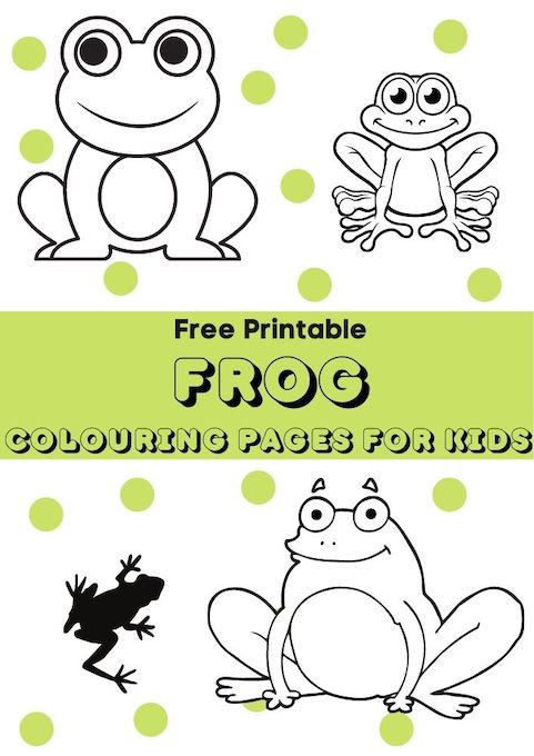 frogs colouring pages