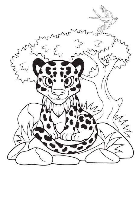 Leopard colouring pages