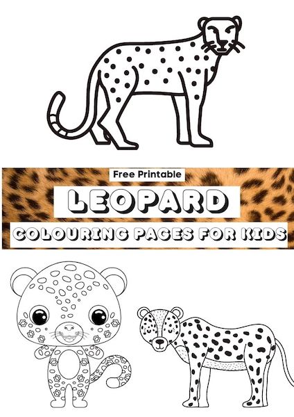 leopard colouring pages