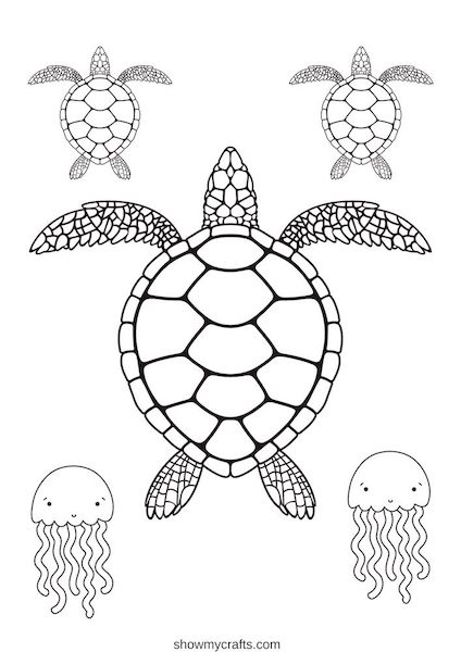 printable sea turtle colouring pages for kids
