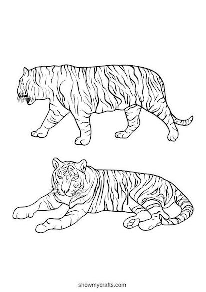 Tiger colouring pages