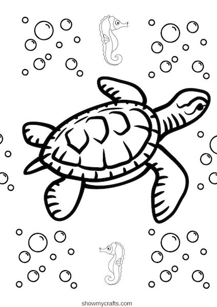 Sea Turtle Colouring Pages